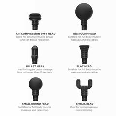 Electric Muscle Massager